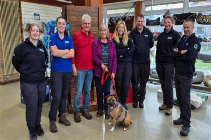  A manager who re-homes neglected dogs described it as the most 'heartbreaking' case she has seen in 30 years