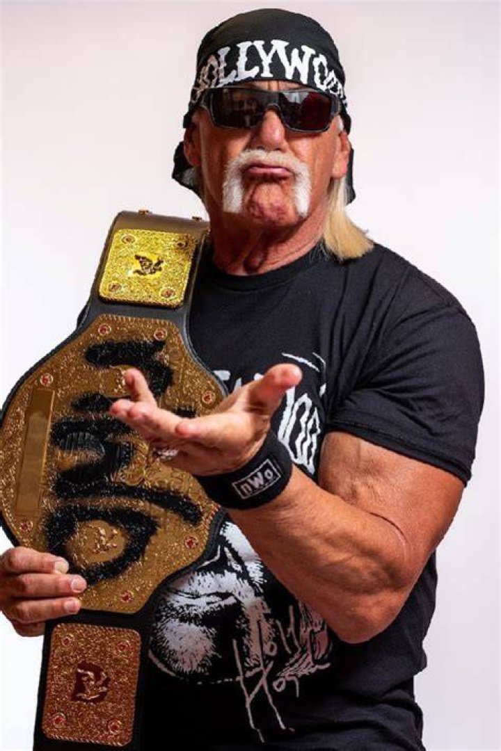 American Retired Professional Wrestler Hulk Hogan