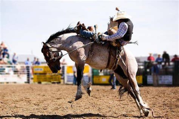 Bronc Rider Dies: West Texas Fair & Rodeo