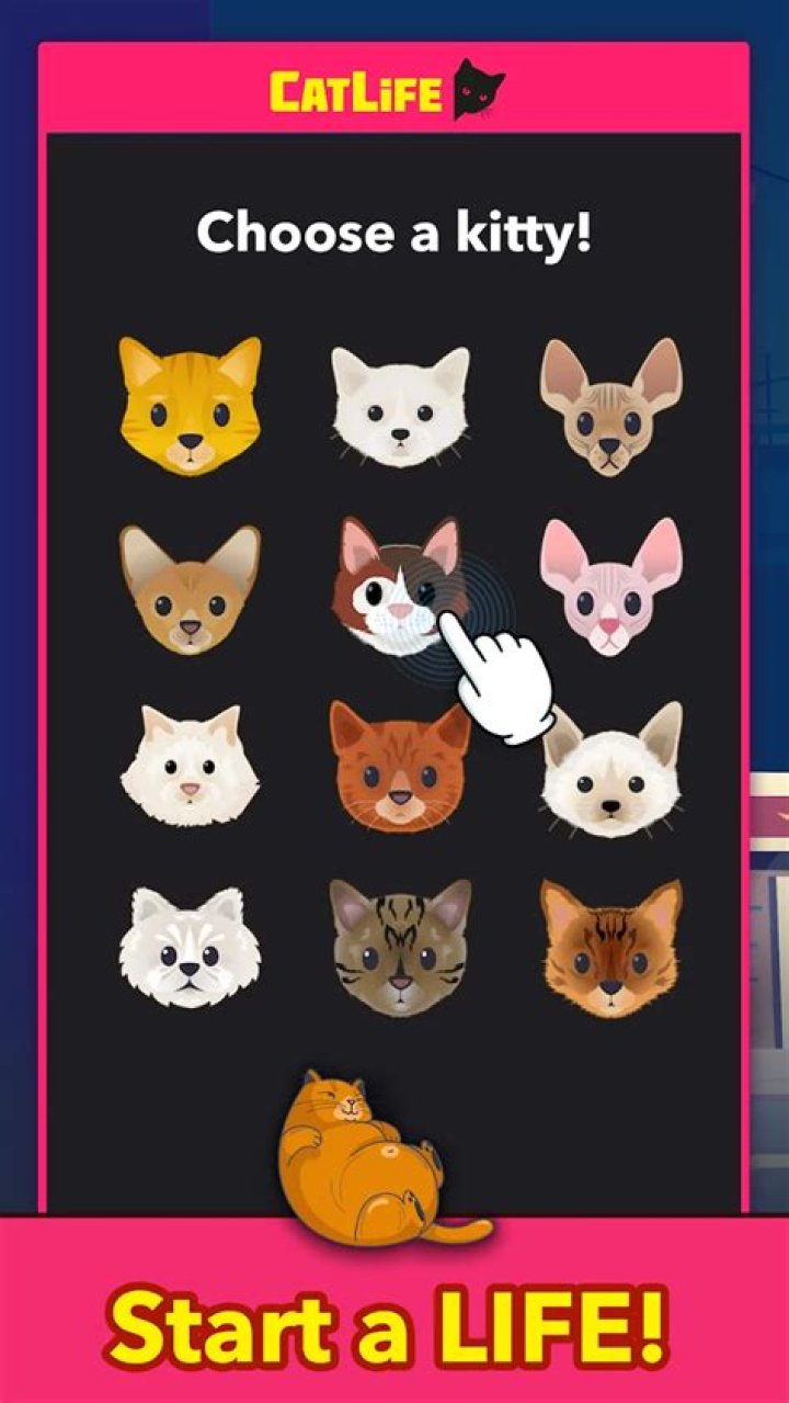CatLife BitLife Cats mod android