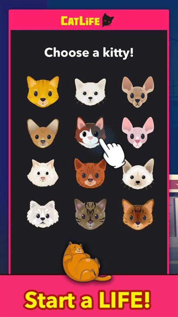 CatLife BitLife Cats mod apk