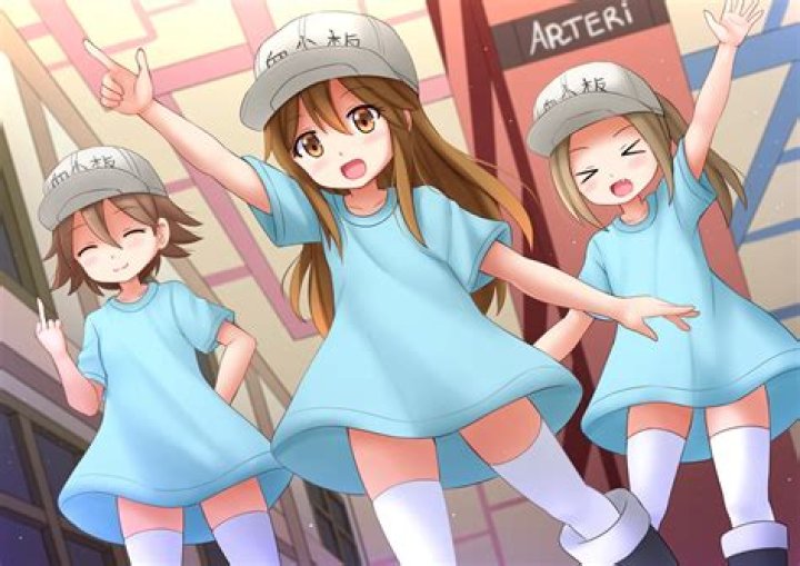 Cells at Work!