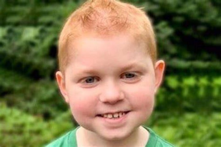 danny sheehan