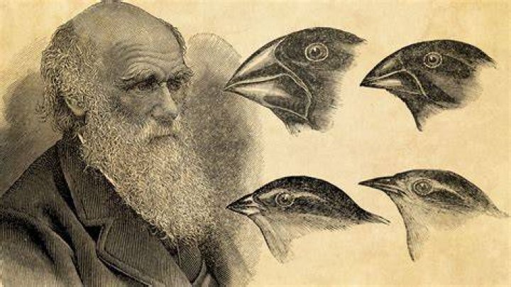 Darwin's Game