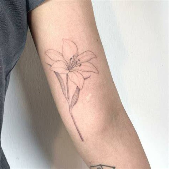 Delicate Lily Tattoo Fillettes