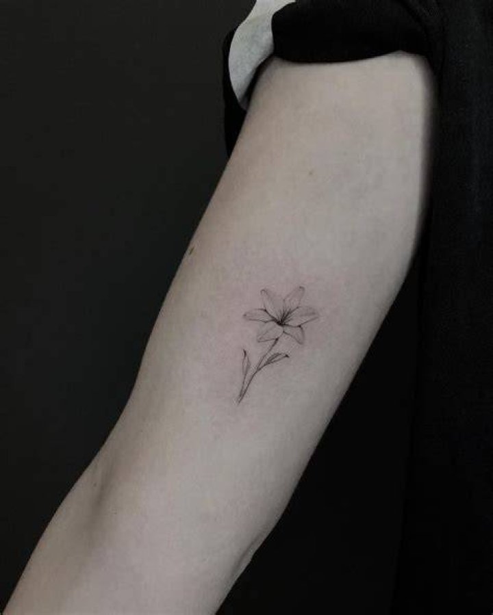 Delicate Lily Tattoo Lightgrays Tattoo