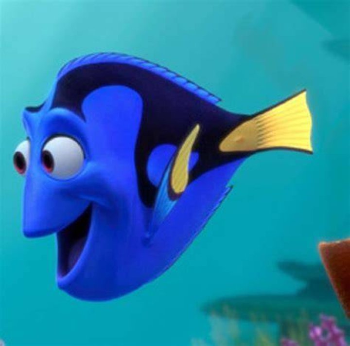 Dory