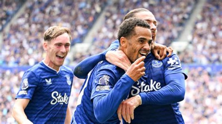 Everton won the match (Source Goal .com)