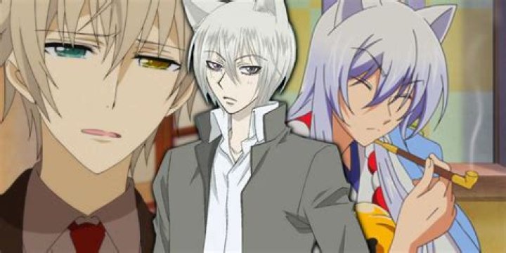 Fox Anime Characters
