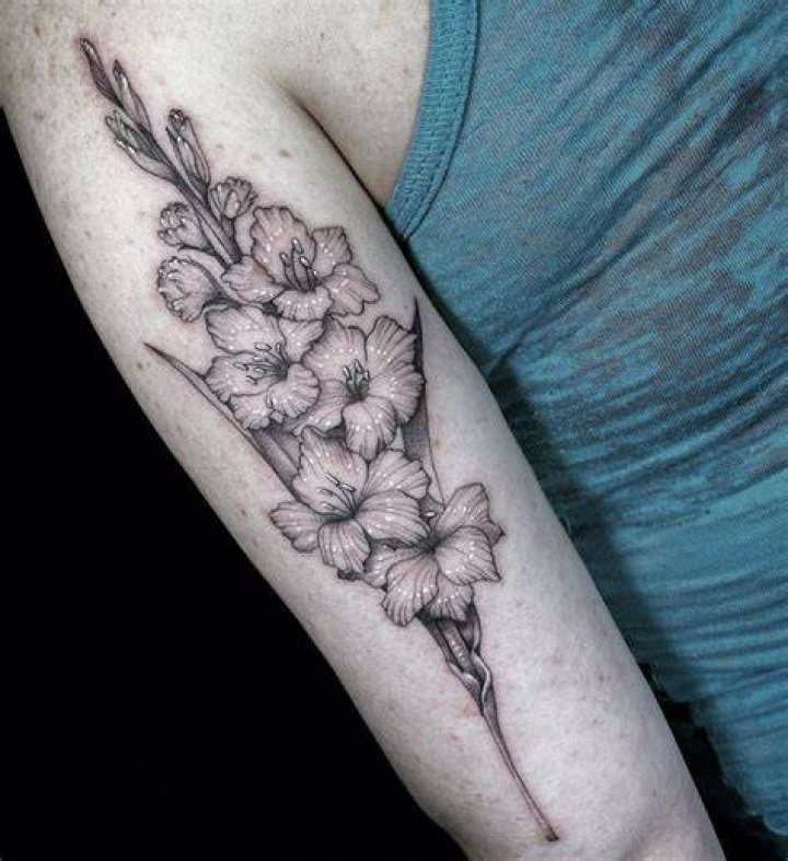 Gladiolus Flower Forearm Tattoo viktorious_maximus
