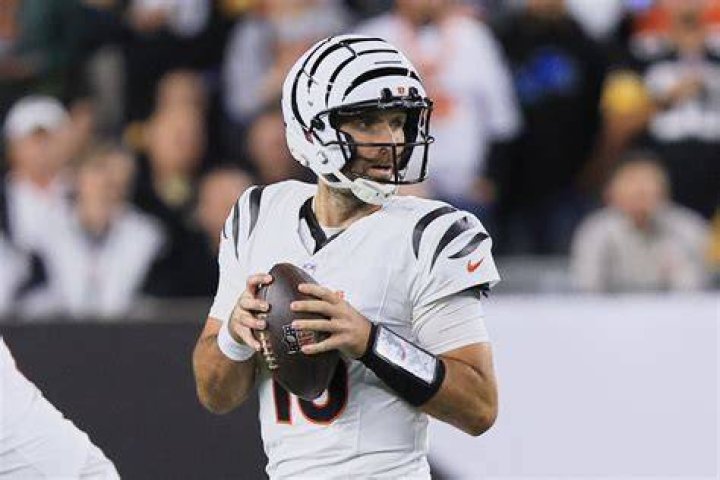 What Is Joe Flacco Ethnicity? Wife, Height, Weight, Net Worth, Age, Career, Family & More 2 Joe Flacco's Family (Parents, Siblings)