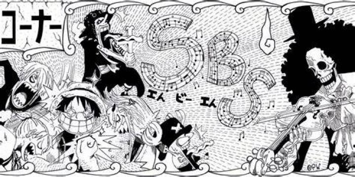 One Piece SBS