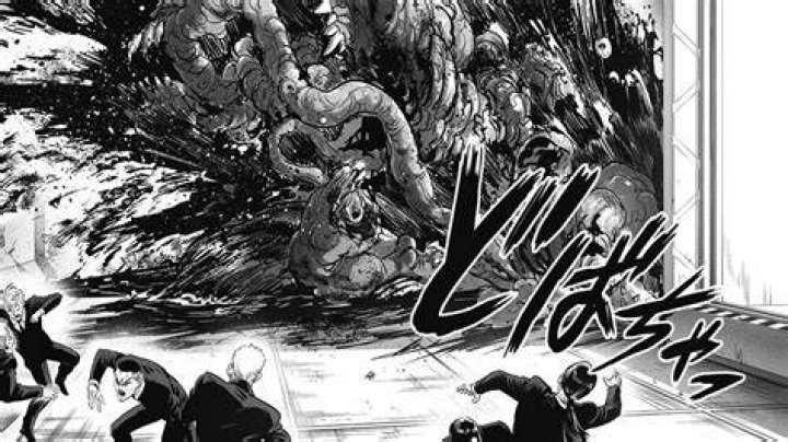 One Punch Man Chapter 177 Expectations