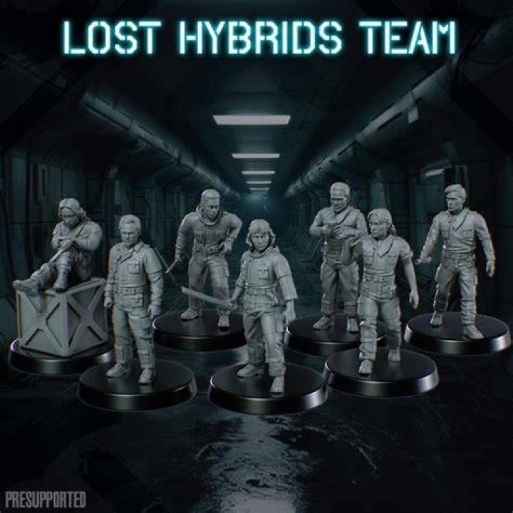 team Y lost
