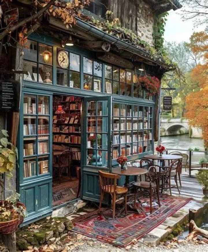 unused-fireplace - with-books
