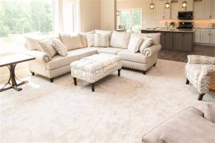 White living room carpet ideas-sandraasdourianinteriors