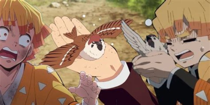 Why did Zenitsu Gets Sparrow?
