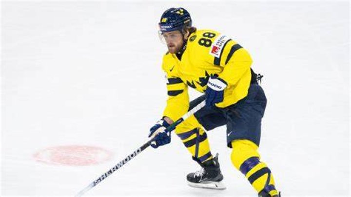William Klarsson Swedish Ice Hockey Player