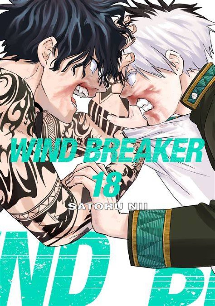 Wind Breaker Chapter 443 Release Date